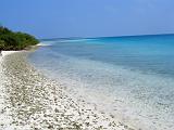 laccadive 1